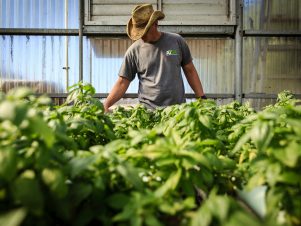 راههای اعتماد به خرید اینترنتی