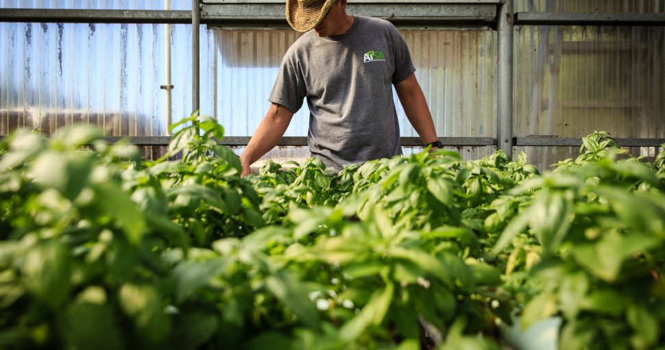 راههای اعتماد به خرید اینترنتی