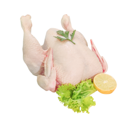 مرغ کامل تازه