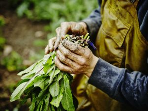 ویژگی های فروشگاه اینترنتی خوب